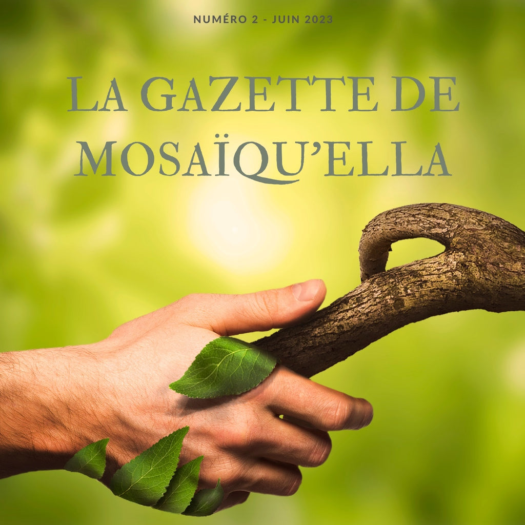 De la journée mondiale pour l'environnement aux conditionnements chez Mosaïqu'ella