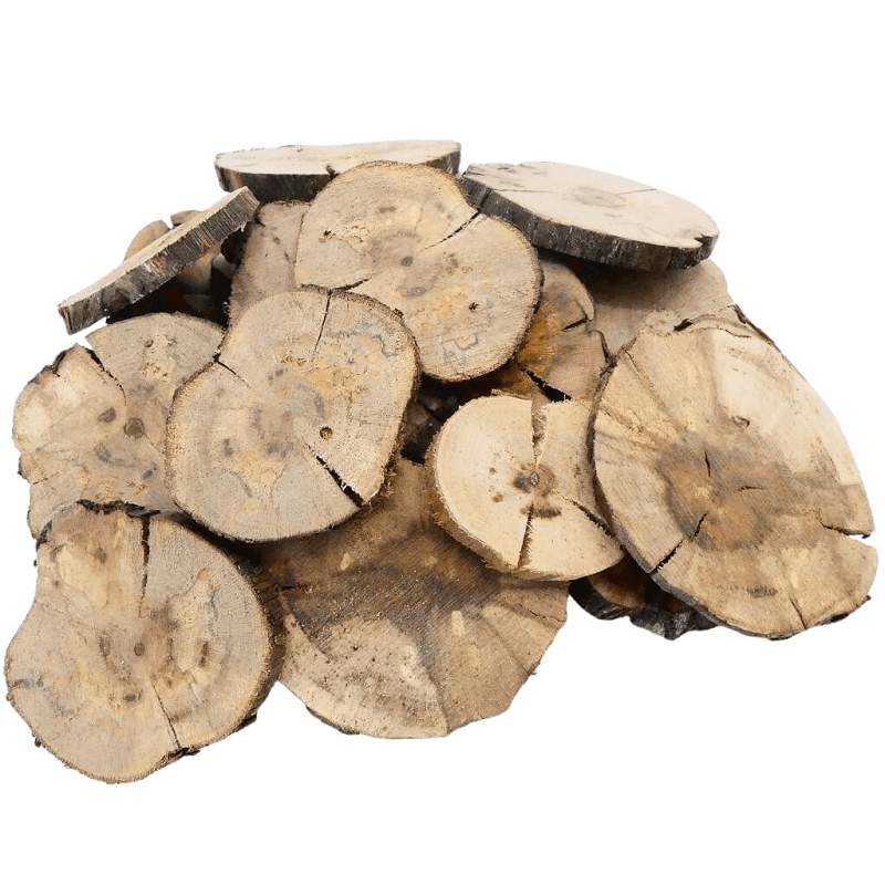 Rondelles de cep de vigne pour la mosaïque - Mosaïqu&