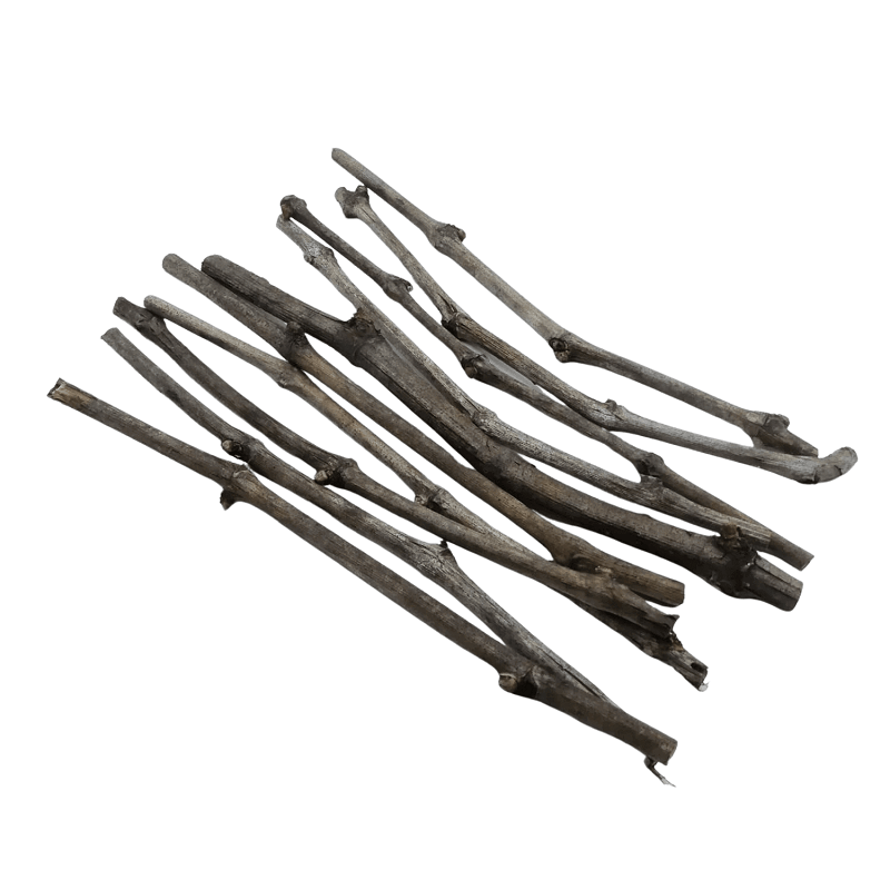 Sarments de vigne biologique pour la mosaïque -